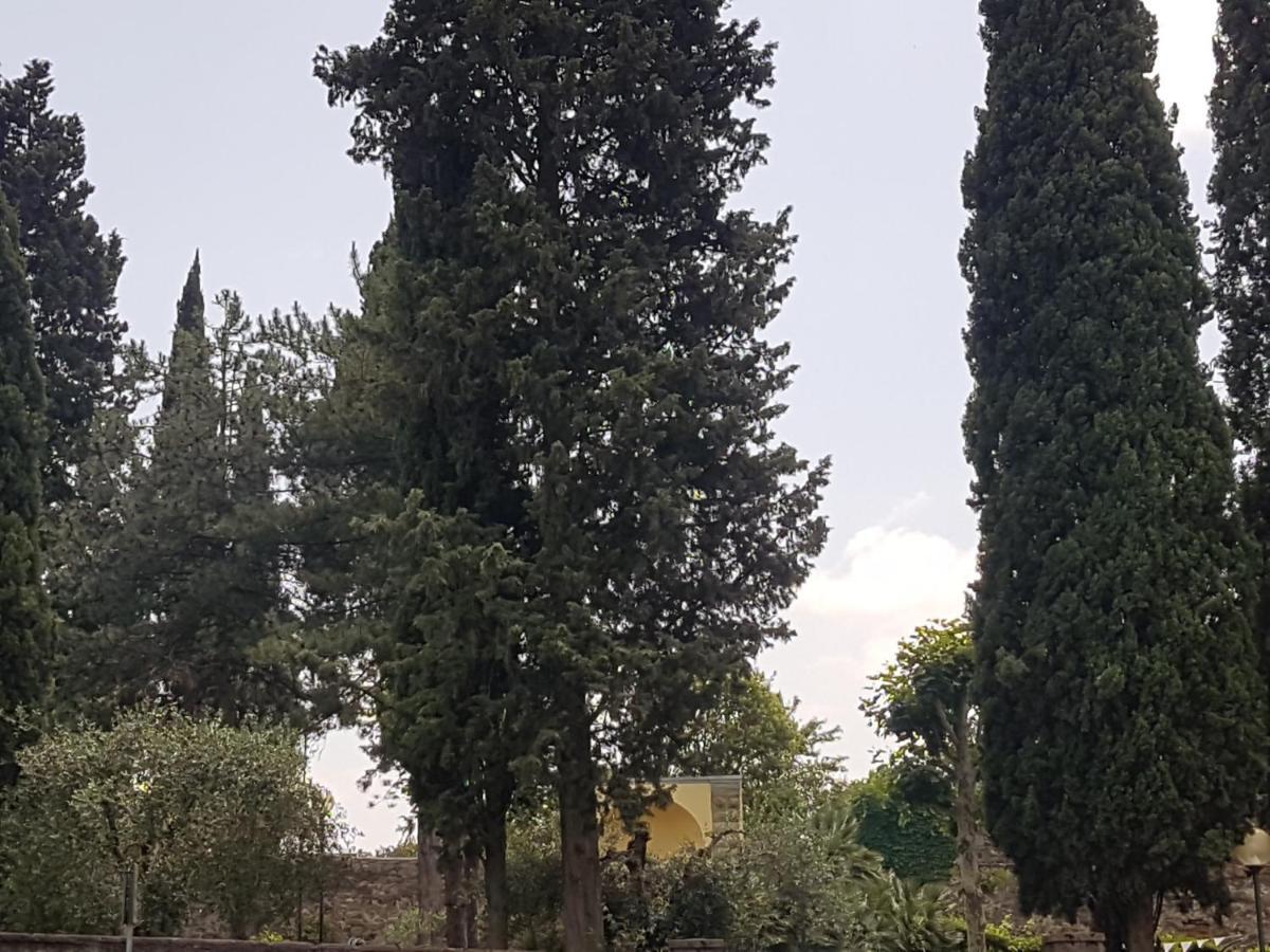 Piccolo Poggio Apartments Floransa Dış mekan fotoğraf